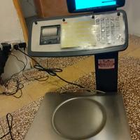 Bilancia helmac mk color1