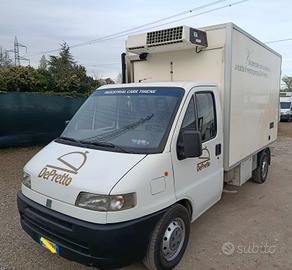 Fiat Ducato frigo Senza ATP 
