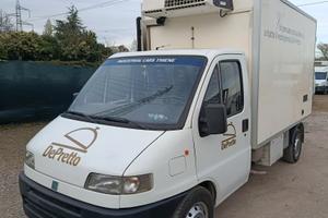 Fiat Ducato frigo Senza ATP 