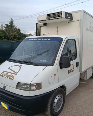 Fiat Ducato frigo Senza ATP 