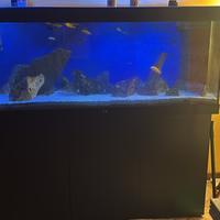Acquario Juwel 450