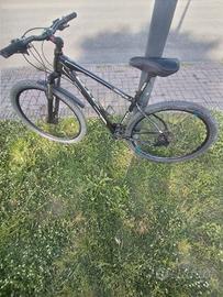 bicicletta mountain bike 