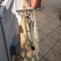 Bicicletta Mountain bike