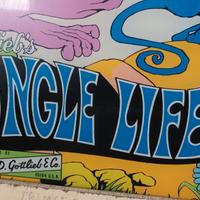 Flipper Jungle Life