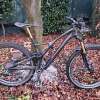 Specialized Stumpjumper S-Works, MY20, Large