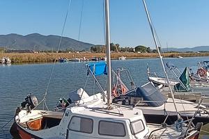 Motorsailer Falco 50