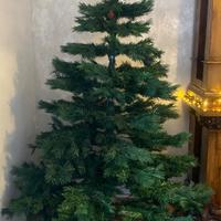 Albero di natale