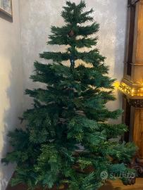 Albero di natale