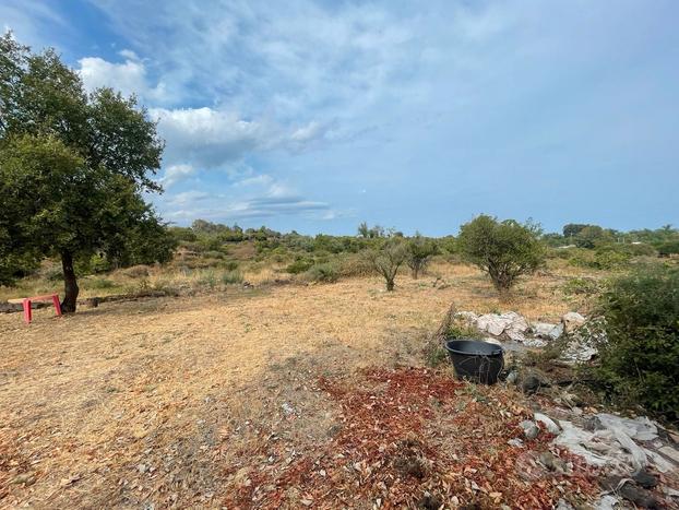 Acireale nord terreno agricolo mq 30000