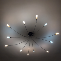 Lampadario in acciaio con 12 punti luce