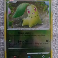 Carta Pokèmon Chikorita