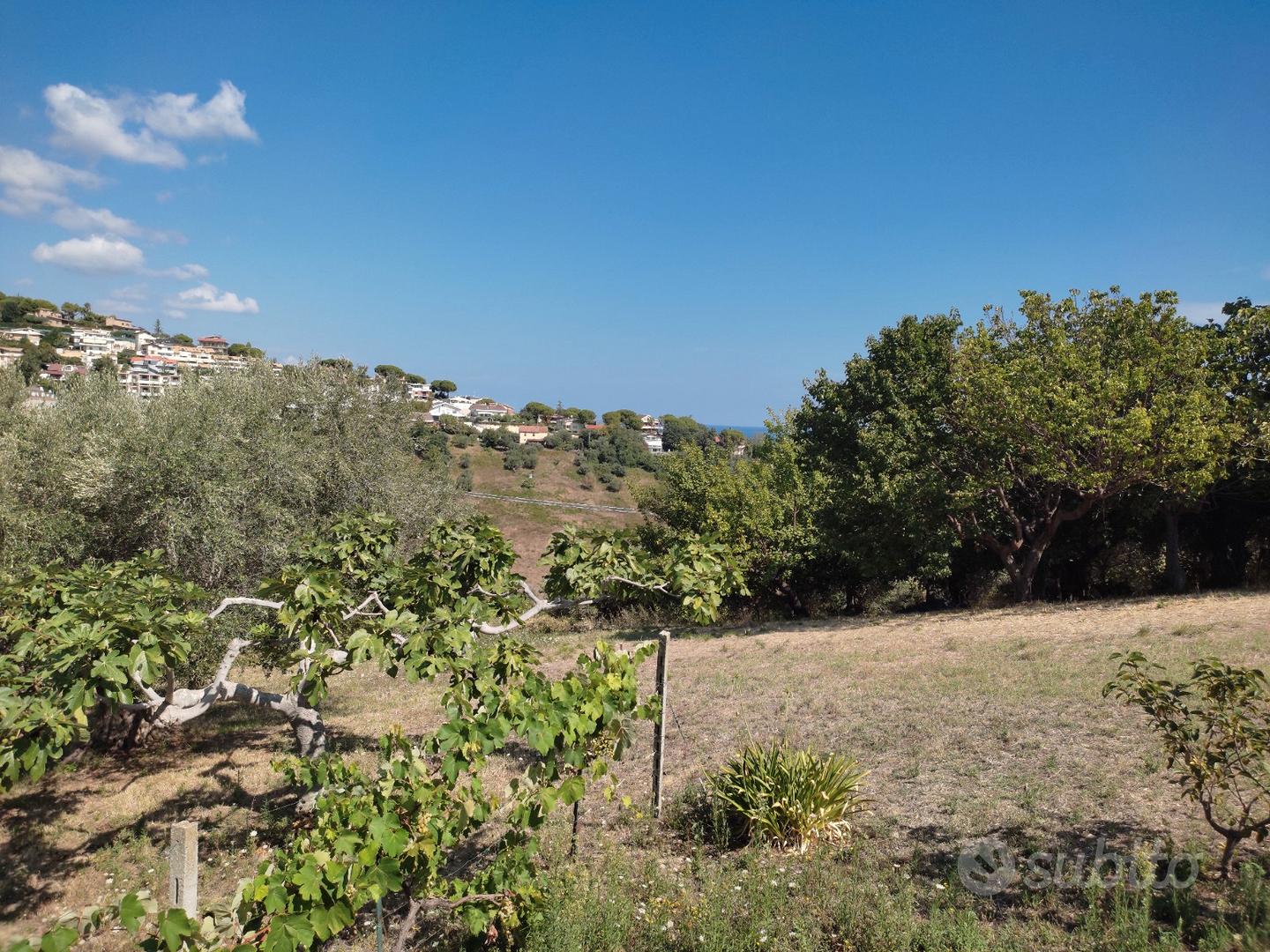 Terreno Agricolo con 2 locali - Vista 5
