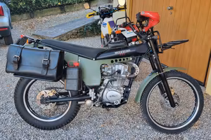 Borile Multiuso 230