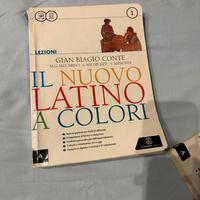 il nuovo latino a colori - lezioni - volume 1