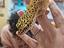 Immagine 5
