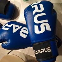 Guantoni kick box marca BARRUS