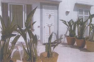 Bilocale annuale comune di ischia contratto 3+2