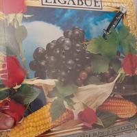 vinili Ligabue prime stampe 