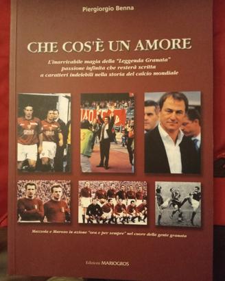 Leggenda granata "che cos'è un amore." Perfetto