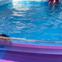 Piscina fuori terra