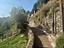 Immagine 25