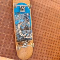 skateboard  the ripper