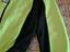 Immagine 5