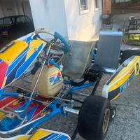 Tony kart fernando alonso
