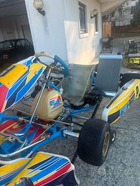 Tony kart fernando alonso