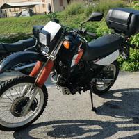 Honda XL 600 con motore nuovo