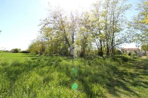 TER. AGRICOLO A VILLASANTA