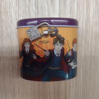 Salvadanaio Harry Potter con Lucchetto