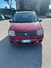 fiat-panda-1-2-alessi