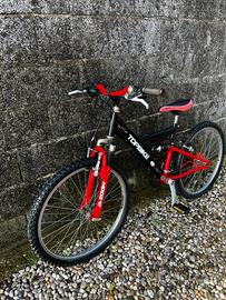 bicicletta per ragazzi