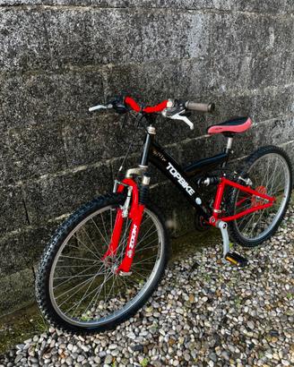 bicicletta per ragazzi