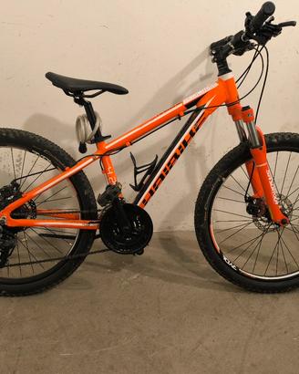 Bicicletta MTB Haibike 24 