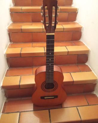 Chitarra acustica 