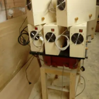 Soffiasemi x pappagalli