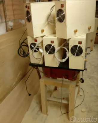 Soffiasemi x pappagalli