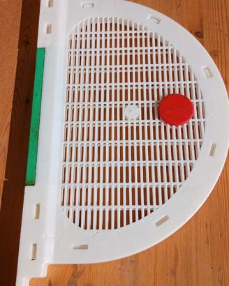 20 gabbie regina menna apicoltura