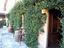 Immagine 5