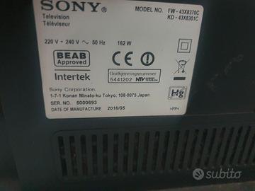 sony bravia