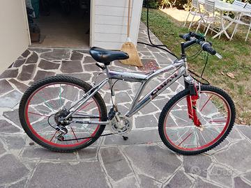 Mountain bike 