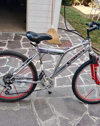 Mountain bike 