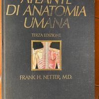 Atlante di anatomia umana NETTER terza edizione