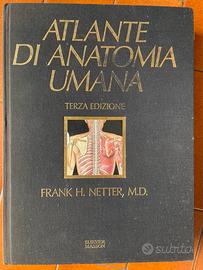 Atlante di anatomia umana NETTER terza edizione