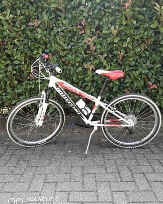 MTB Bottecchia  24"