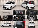 fiat-panda-pandina-1-0-firefly-65-cv-hybrid-pop