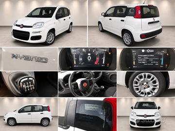Fiat Panda Pandina 1.0 FireFly 65 CV Hybrid Pop