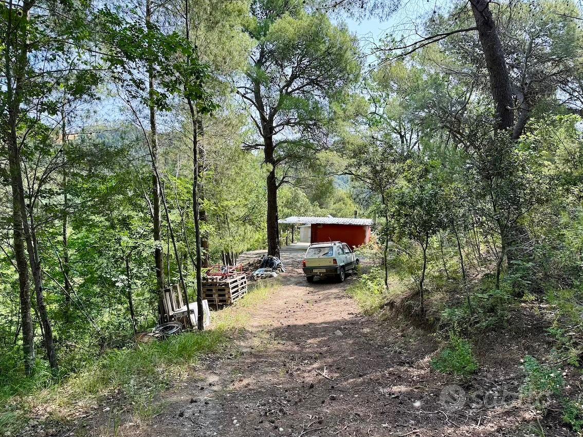 Esclusiva proprieta' agricola in montagna - Vista 2